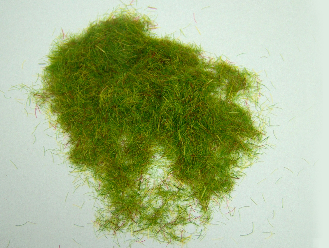 Grass