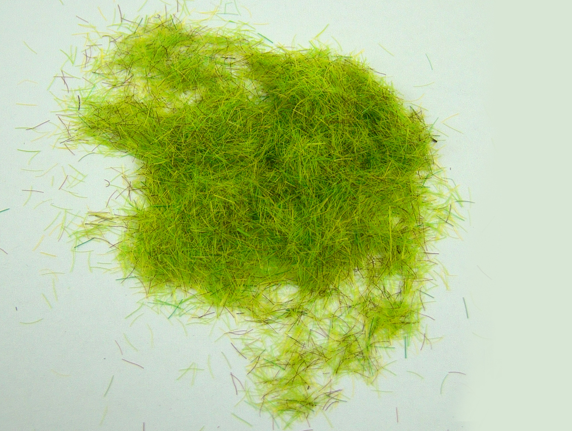 Grass