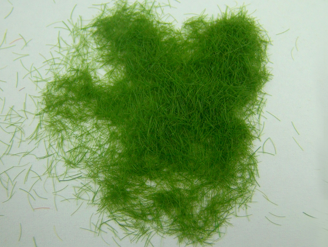 Grass