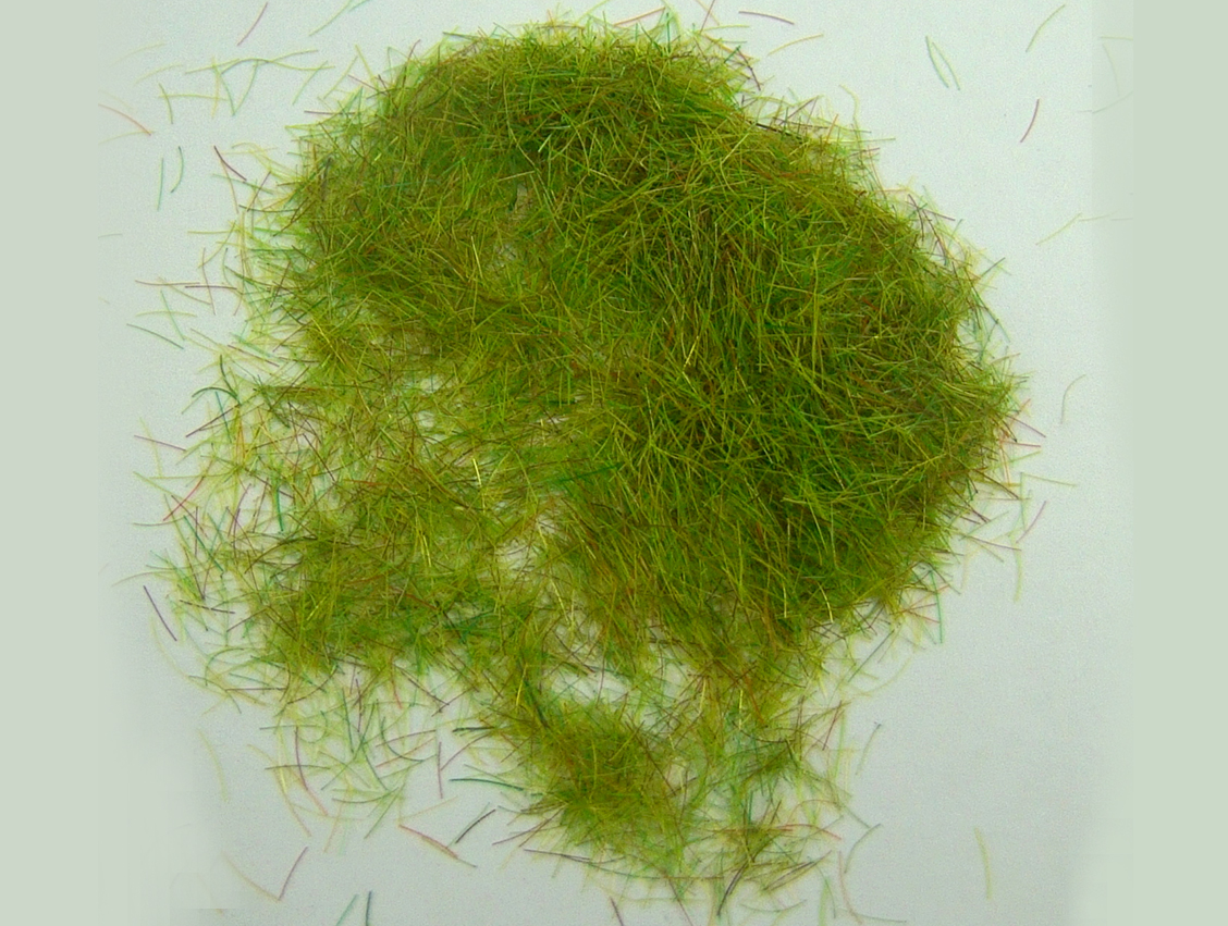 Grass