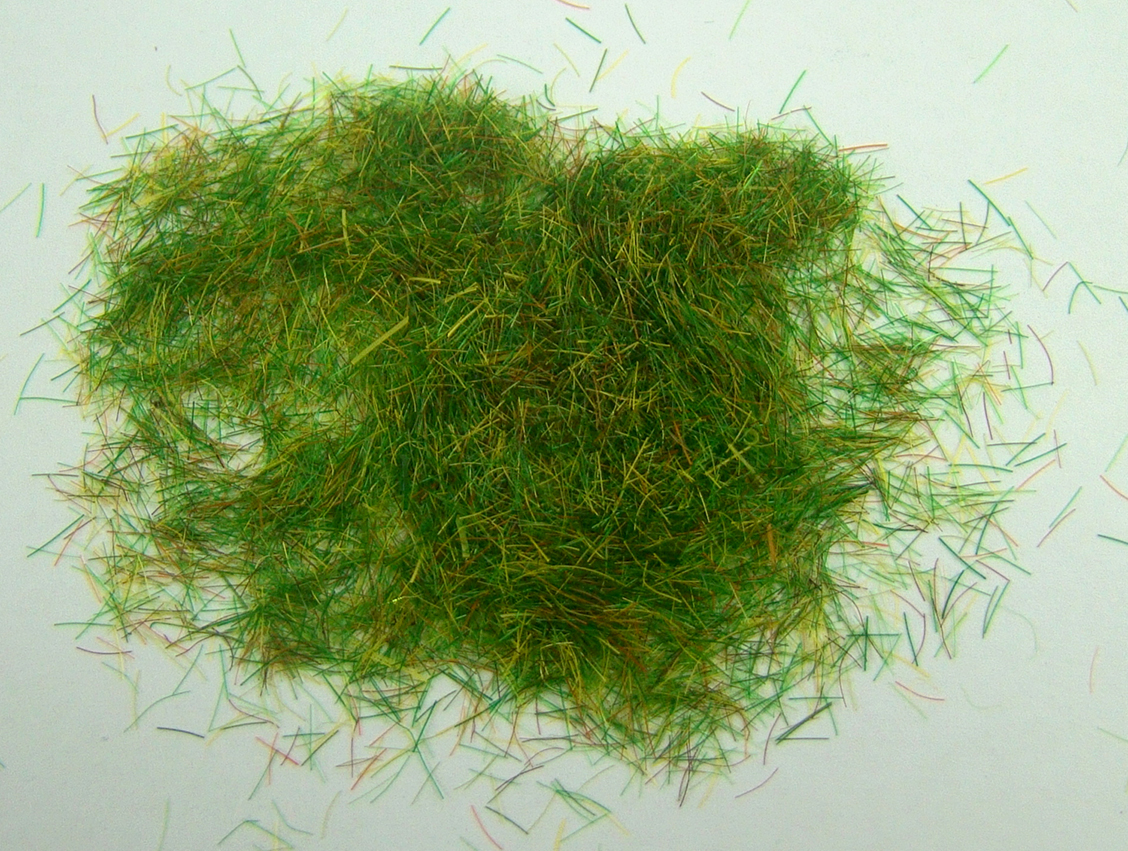 Grass