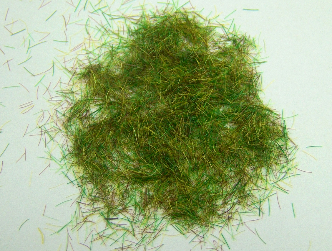 Grass