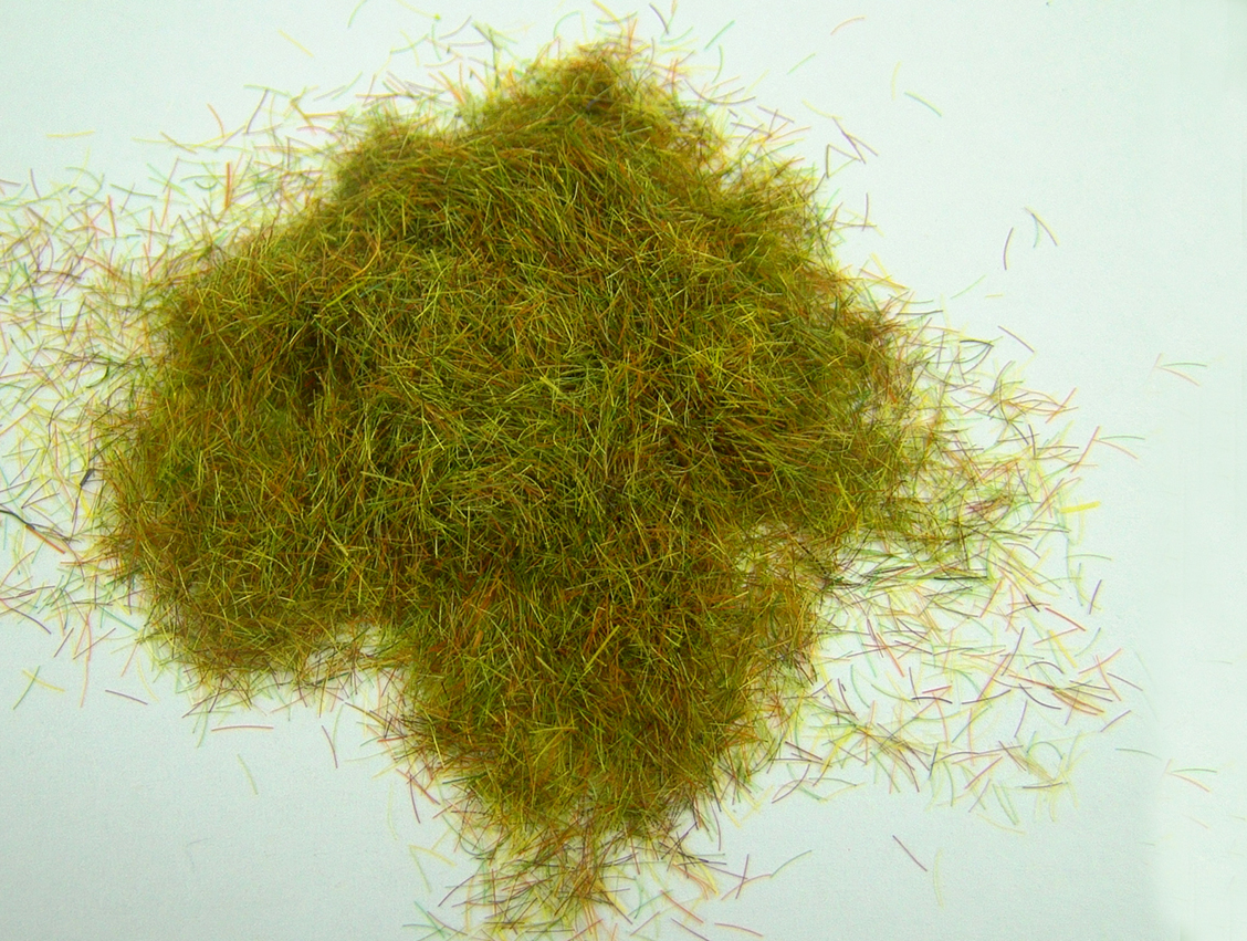 Grass
